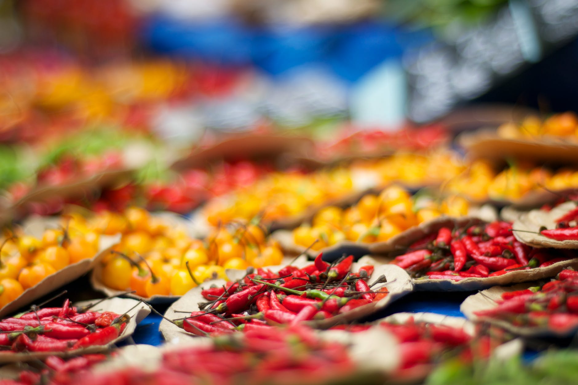 Spiciness in Food