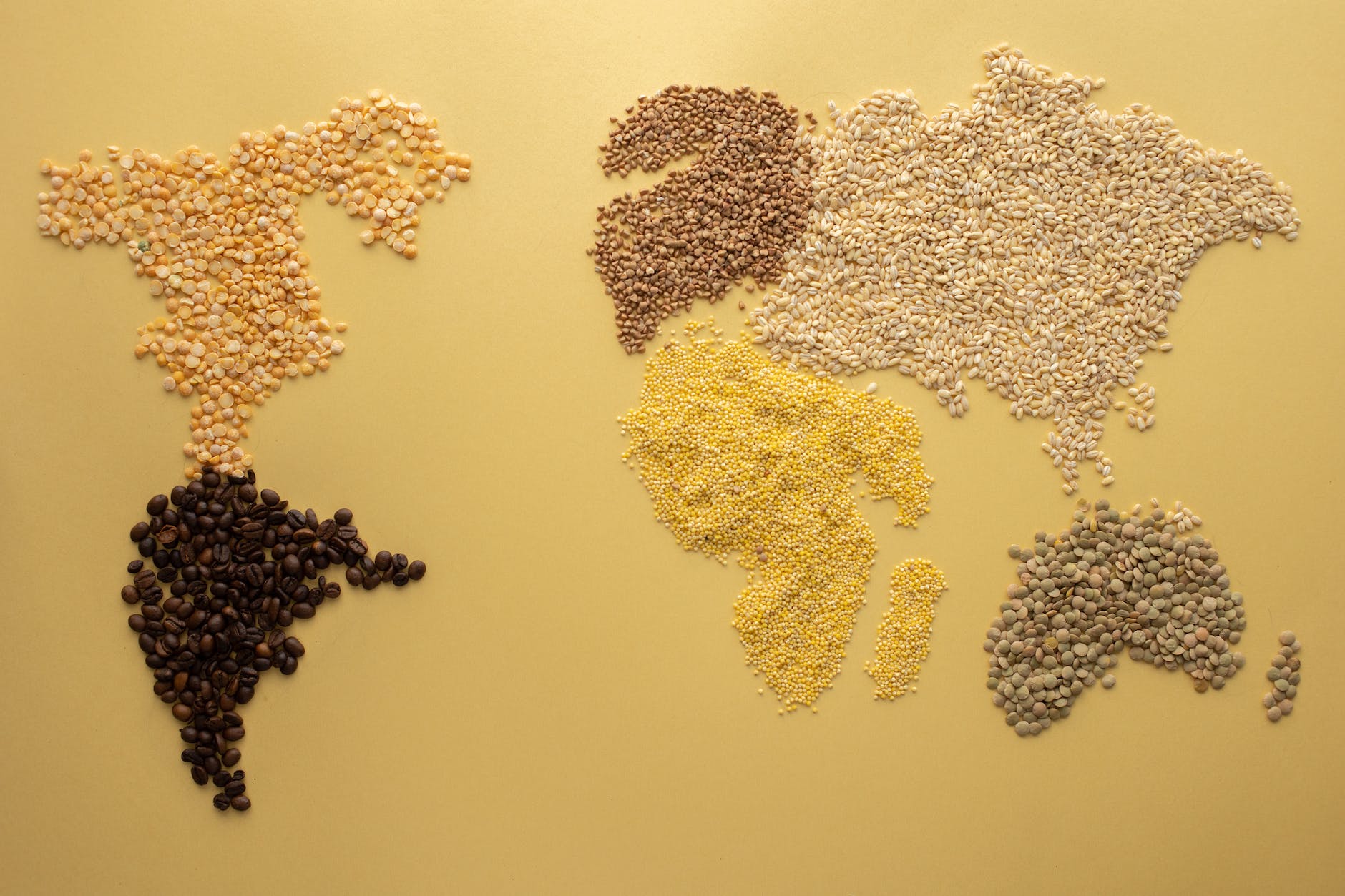 a world map made of grains and beans, millets
