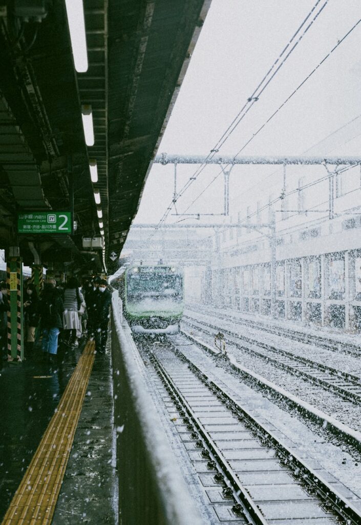 Tokyo winter
winter snowfall at shinjuku train station
