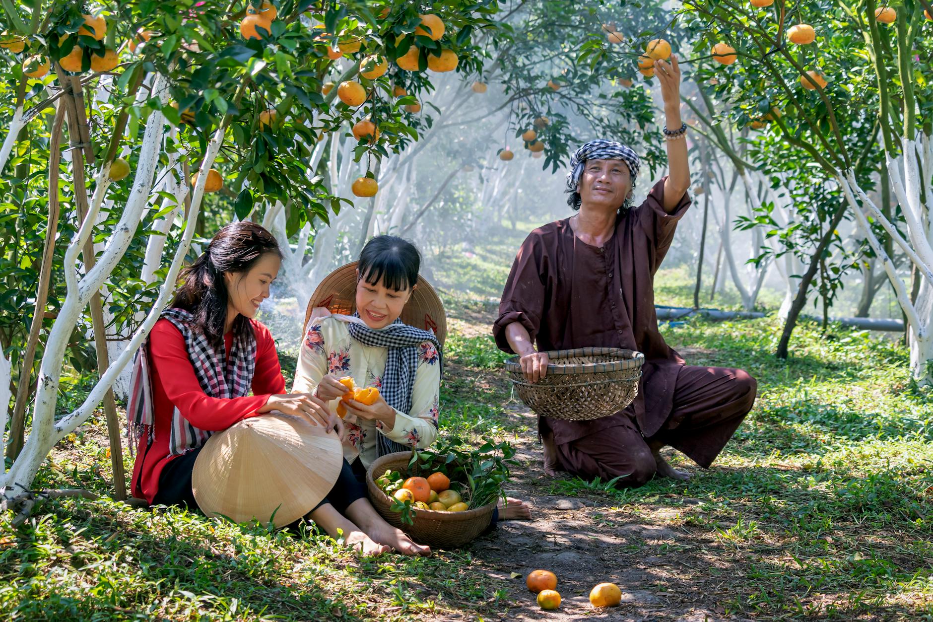 positive ethnic family in orange garden.
Armenia writers retreat orchard mood — family in fruit garden