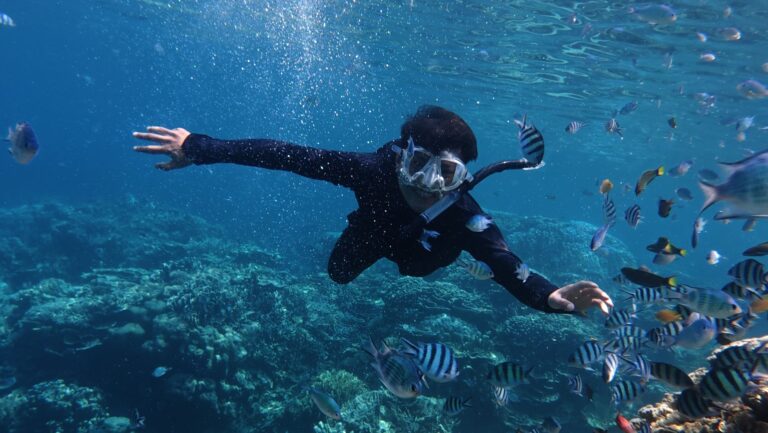 snorkeling adventure in clear waters of jawa tengah. Monsoon Snorkelling