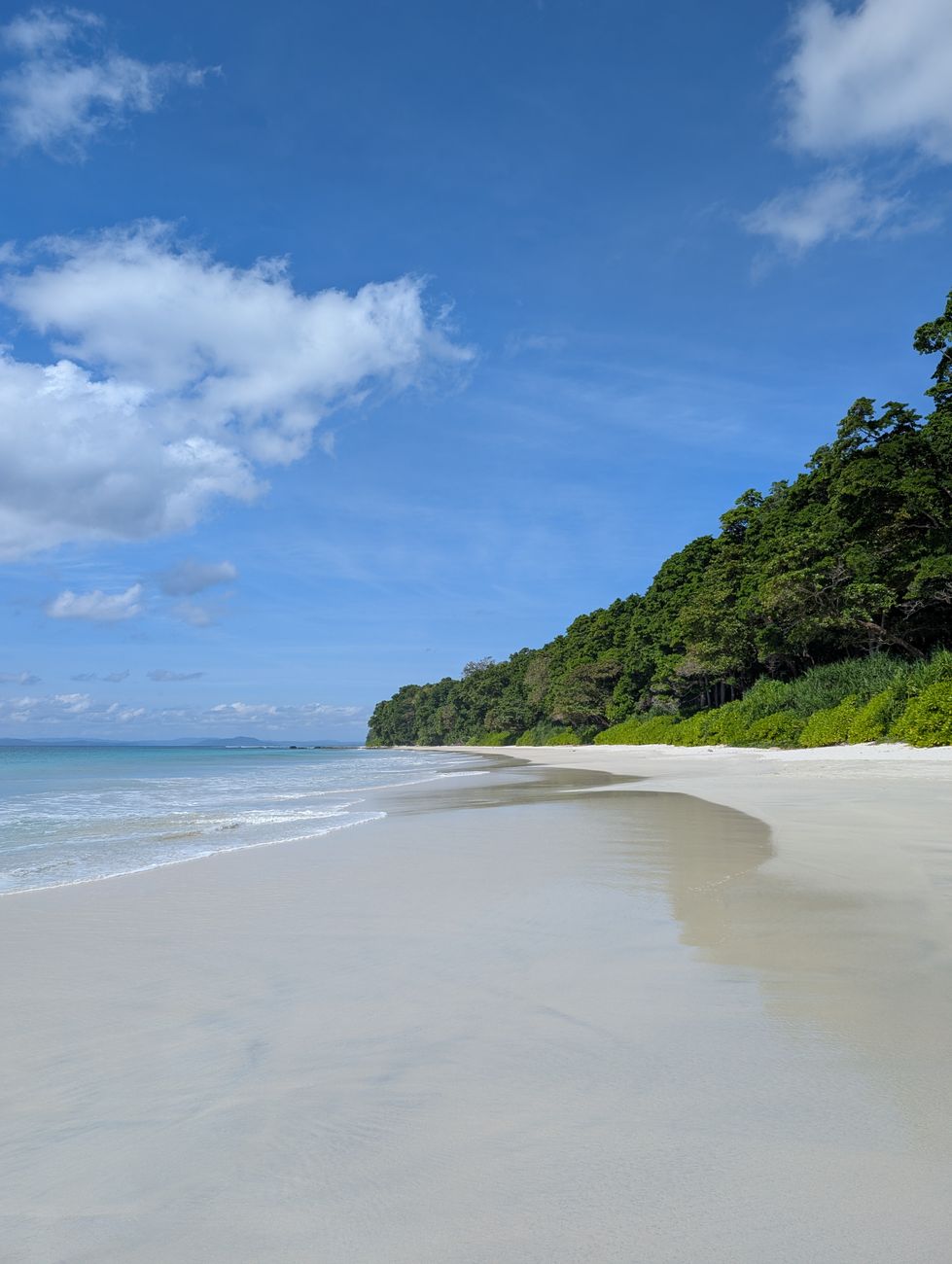 tranquil beach scene in andaman islands india. A quiet Andaman shoreline with soft waves, pale sand, and overcast monsoon light settling over the water.