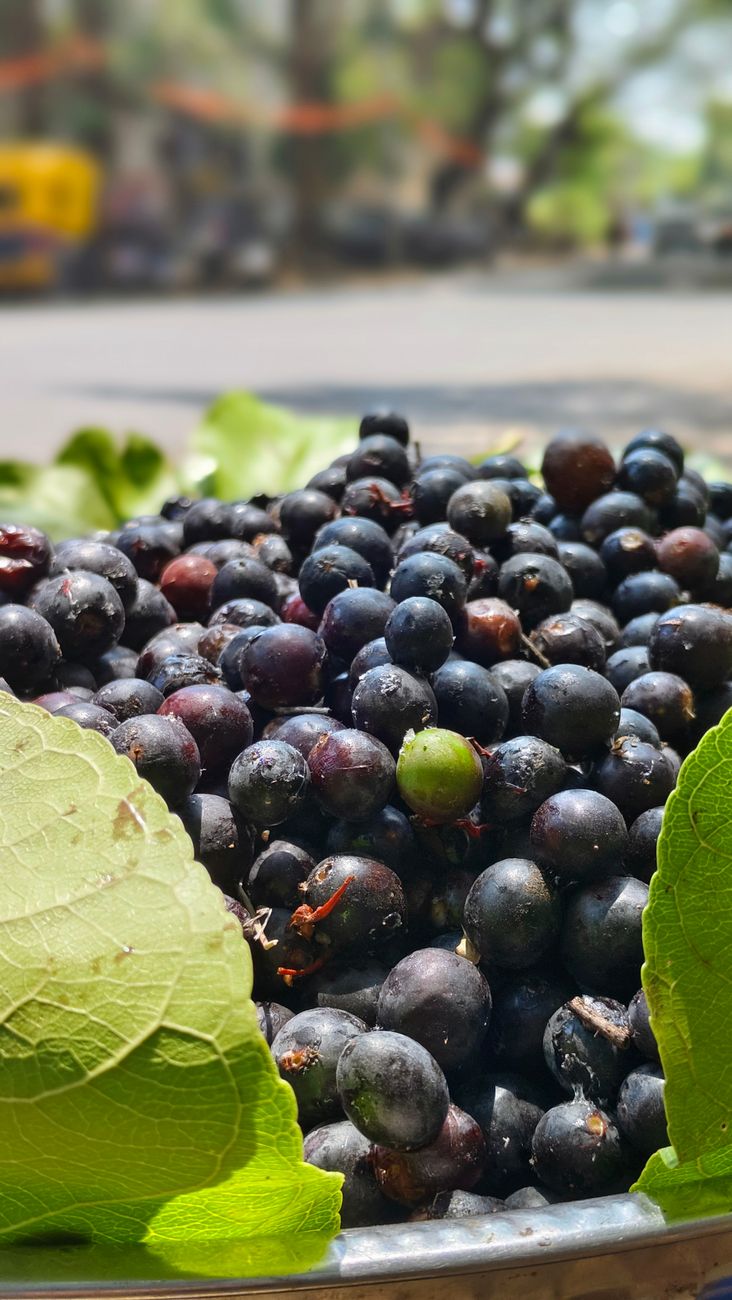 close up of fresh jamun fruits on leaf during monsoon
