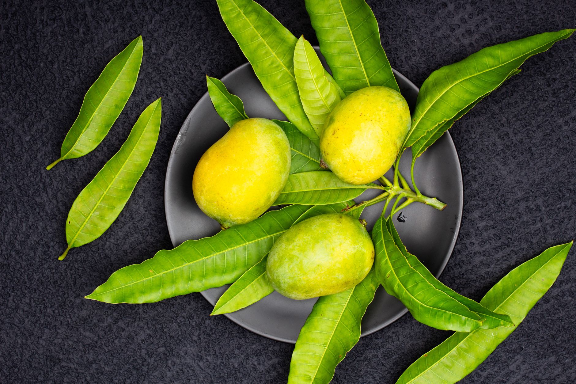 green mangoes on a plate during the mango season