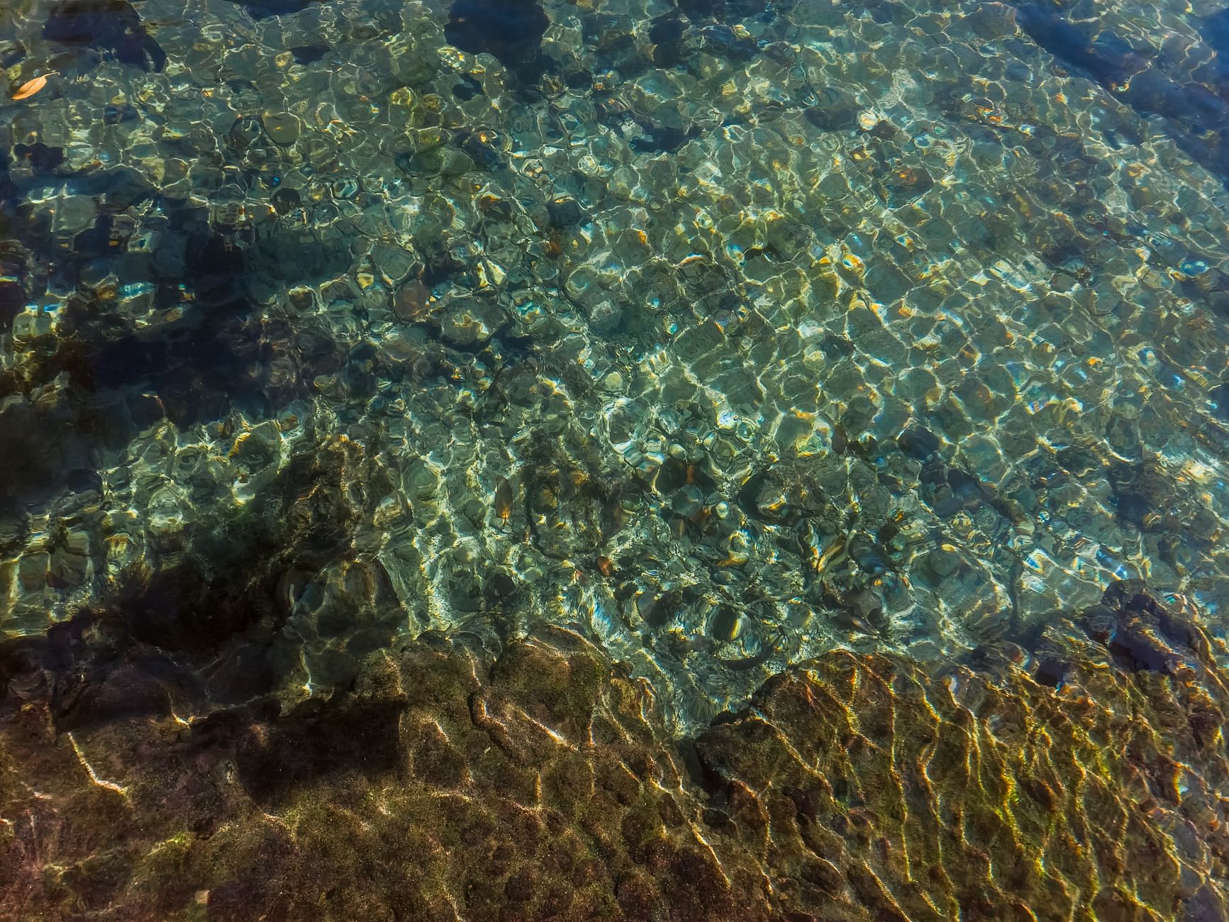 crystal clear water with rocky bottom. Tarkarli snorkeling monsoon break India