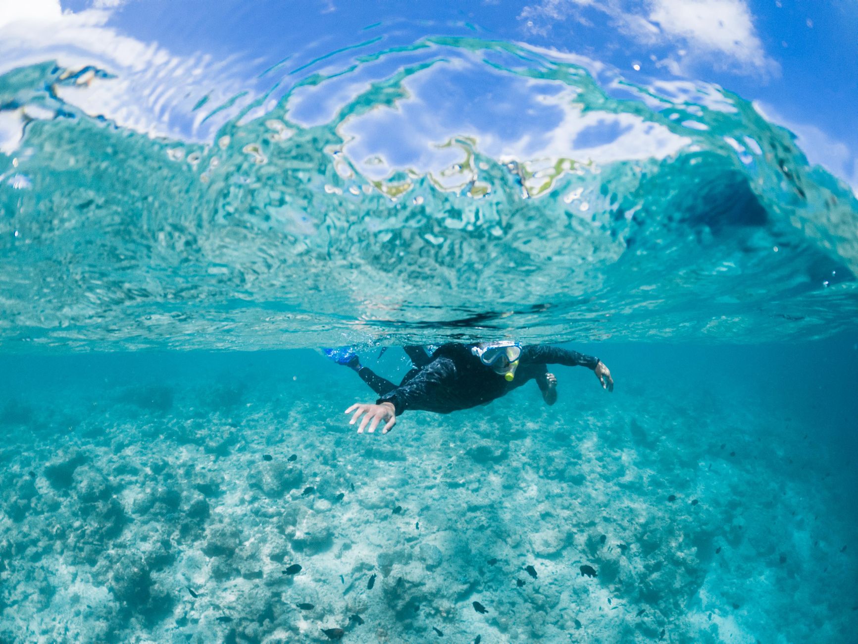 anonymous snorkeler swimming in azure seawater. A snorkeler exploring the vibrant marine life in the clear, turquoise waters of the Maldives.
