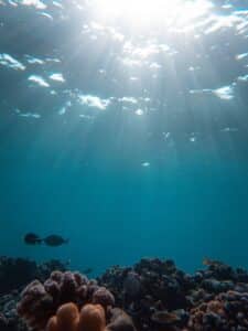 Explore the beauty of a sunlit underwater coral reef teeming with diverse sea life.