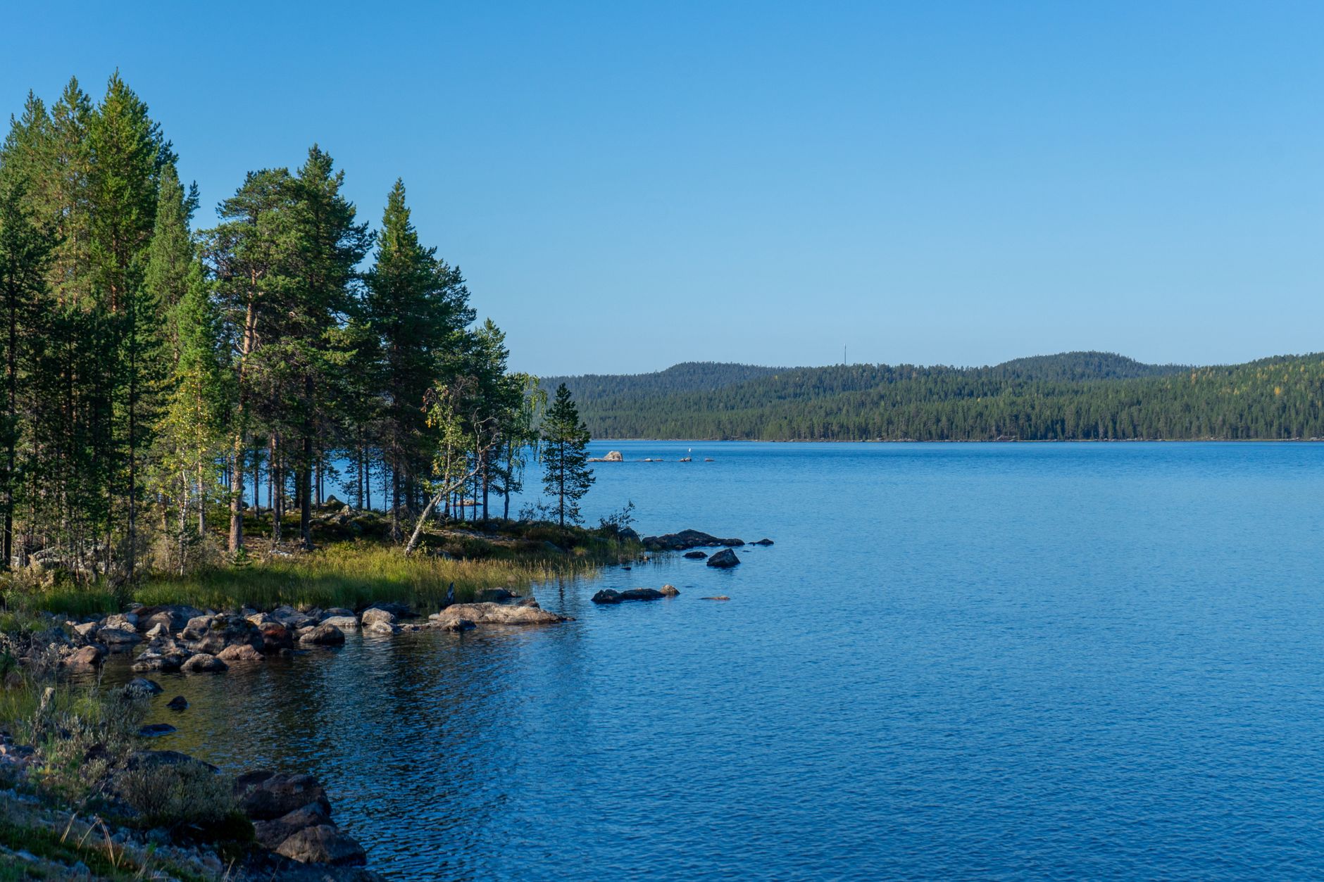 insel im fjord. Quiet island in Finland’s Lake District surrounded by calm blue water in early autumn light