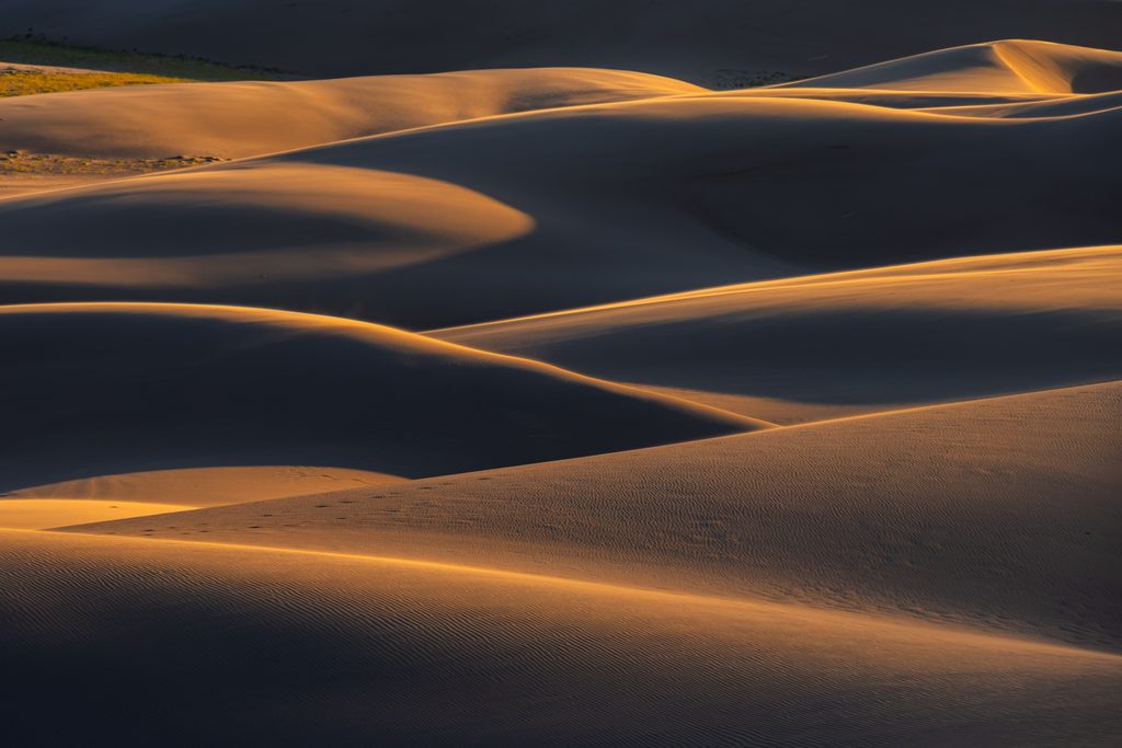 Golden sand dunes at sunset showing soft ripples and dune geometry in warm desert light.