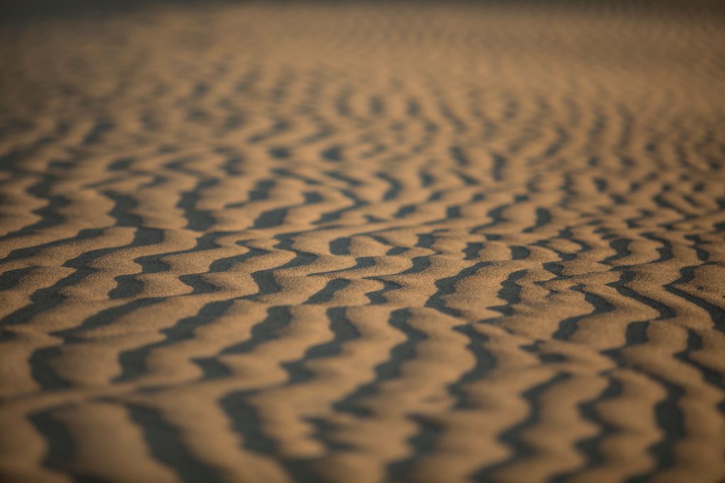Rippling sand dunes at sunset with long shadows and soft Sahara desert light.