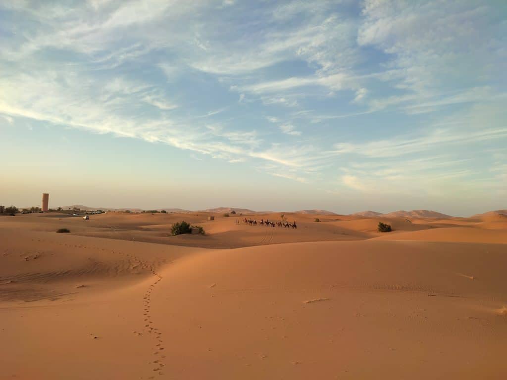Camel caravan crossing golden dunes near Merzouga in Morocco at sunset.