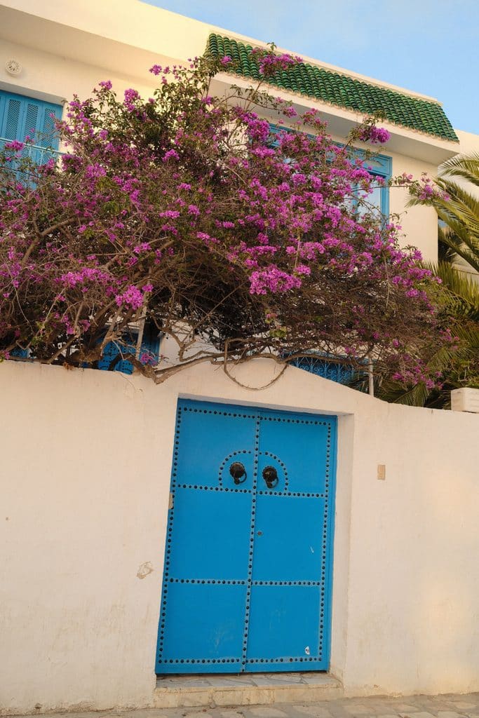 Sidi Bou Said blue door with bougainvillea and whitewashed walls in Tunisia