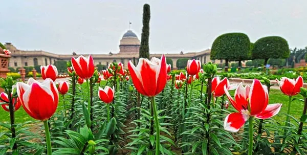 Mughal Gardens In Delhi