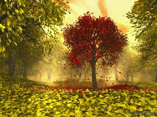 Autumn Friday Challenge1