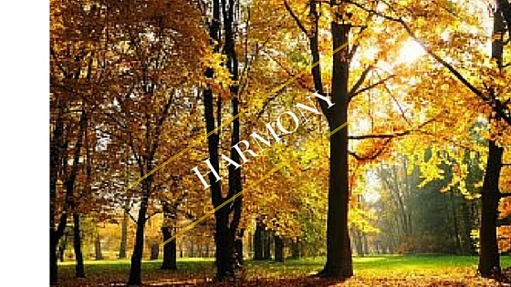 Harmony