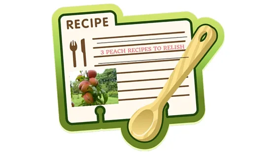 Peach recipes