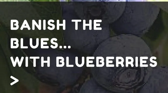 BLUEBERRIES