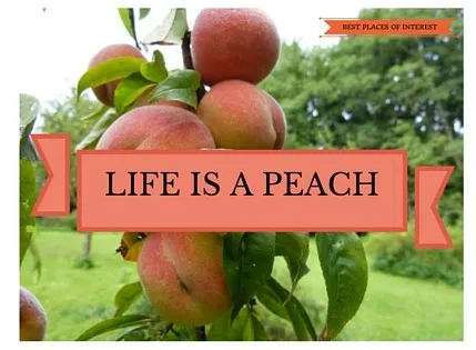 PEACH