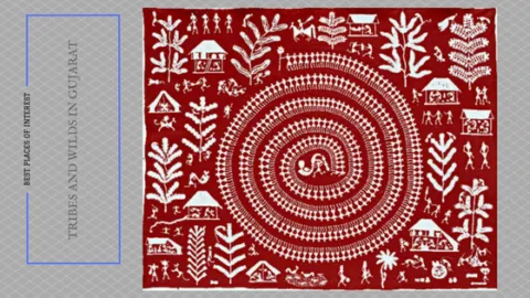 Tribes and wilds in Gujarat