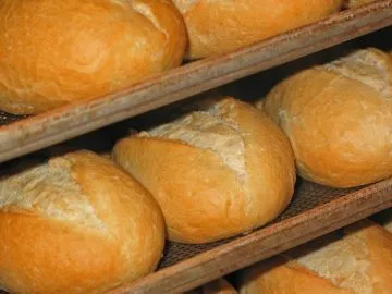 Bread recipes