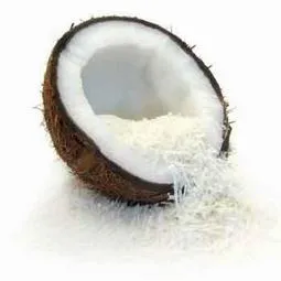 desiccated coconut recipes