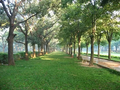 Cubbon park, Bangalore, Bengaluru