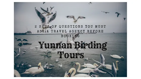 Birding tours