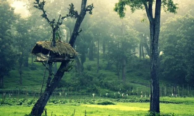 featured image, Kerala