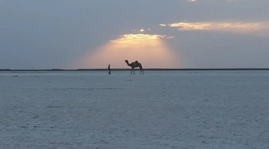 The Great White Rann Of Kutch 1